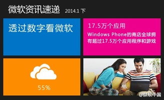 灵动多彩，数据为证 Windows 8磁贴风格下的微软全景图